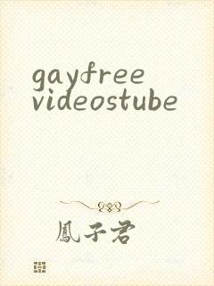 gayfreevideostube