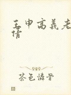 王申高义老七宋倩封面