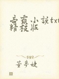 帝霸小说txt精校版