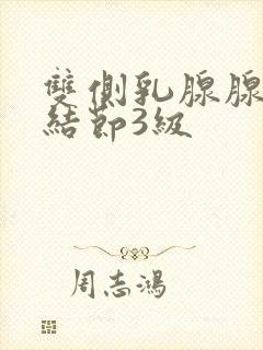 双侧乳腺腺病伴结节3级