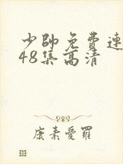 少帅免费连续剧48集高清
