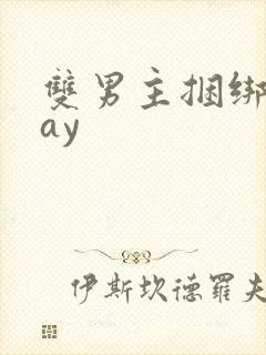 双男主捆绑play封面