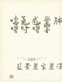 喘气感觉肺部呼噜呼噜响