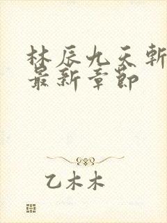 林辰九天斩神诀最新章节