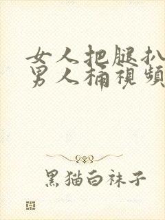 女人把腿扒开让男人桶视频