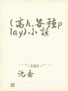 (高h,各种play)小说
