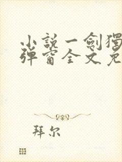 小说一剑独尊无弹窗全文免费阅读