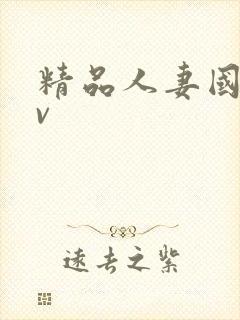 精品人妻国产av