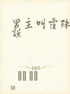 男主叫霍殊的小说封面