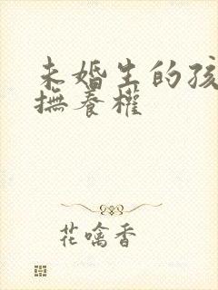 未婚生的孩子的抚养权