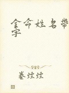 金命姓名带什么字