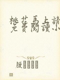 桃花马上请长缨免费阅读小说全文