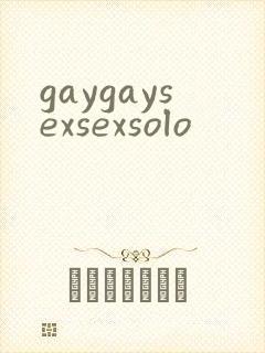 gaygaysexsexsolo