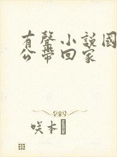 有声小说国民老公带回家