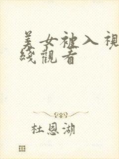 美女被入视频在线观看
