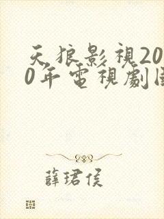 天狼影视2020年电视剧国产剧