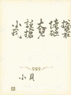 小说大佬总想跟我抢儿砸最新章节封面