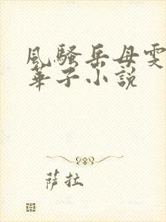 风骚岳母雯雯和华子小说