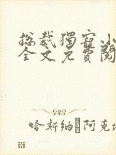 总裁独宠小娇妻全文免费阅读封面