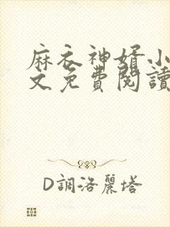 麻衣神婿小说全文免费阅读完整版封面