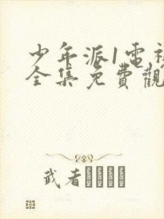 少年派1电视剧全集免费观看完整版