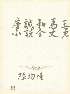 唐诚和马玉婷的小说全文免费