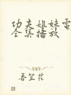 功夫姐妹电视剧全集播放