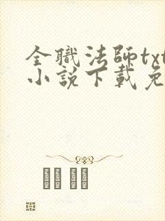 全职法师txt小说下载免费