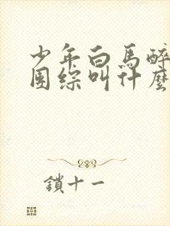 少年白马醉春风团综叫什么