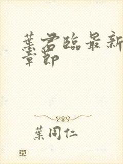 叶君临最新免费章节