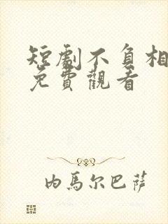 短剧不负相思意免费观看封面