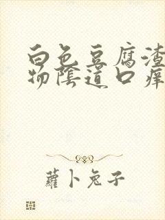 白色豆腐渣分泌物阴道口痒