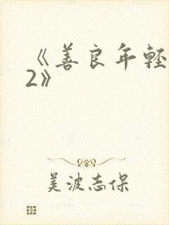 《善良年轻嫂子2》封面