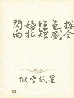 闪婚绝色总裁张向北短剧全集封面