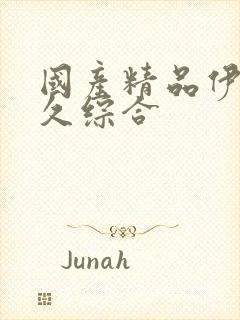 国产精品伊人久久综合封面