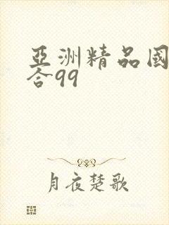 亚洲精品国产综合99