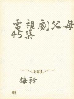 电视剧父母爱情45集封面