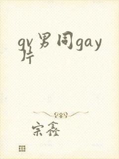 gv男同gay片