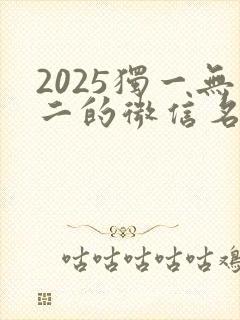 2025独一无二的微信名两个字