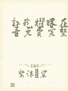 许我耀眼在线观看免费完整版高清