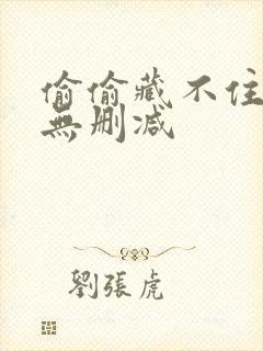 偷偷藏不住全文无删减