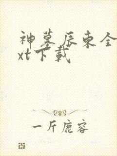 神墓辰东全本txt下载