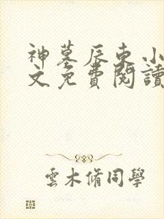 神墓辰东小说全文免费阅读起点封面