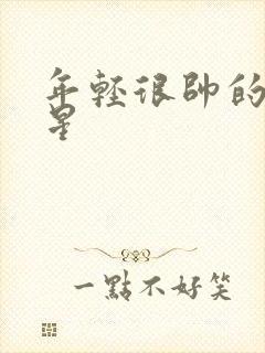 年轻很帅的男明星