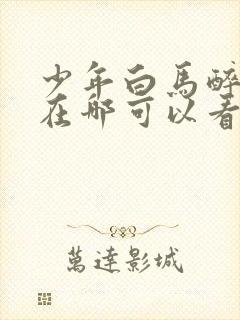 少年白马醉春风在哪可以看全部