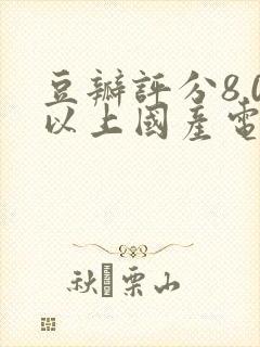 豆瓣评分8.0以上国产电视剧封面