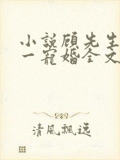 小说顾先生的第一宠婚全文阅读封面