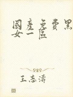 国产免费黑丝美女一区