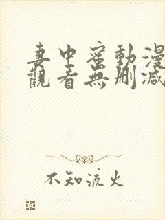 妻中蜜动漫在线观看无删减完整版