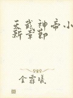 天武神帝小说最新章节